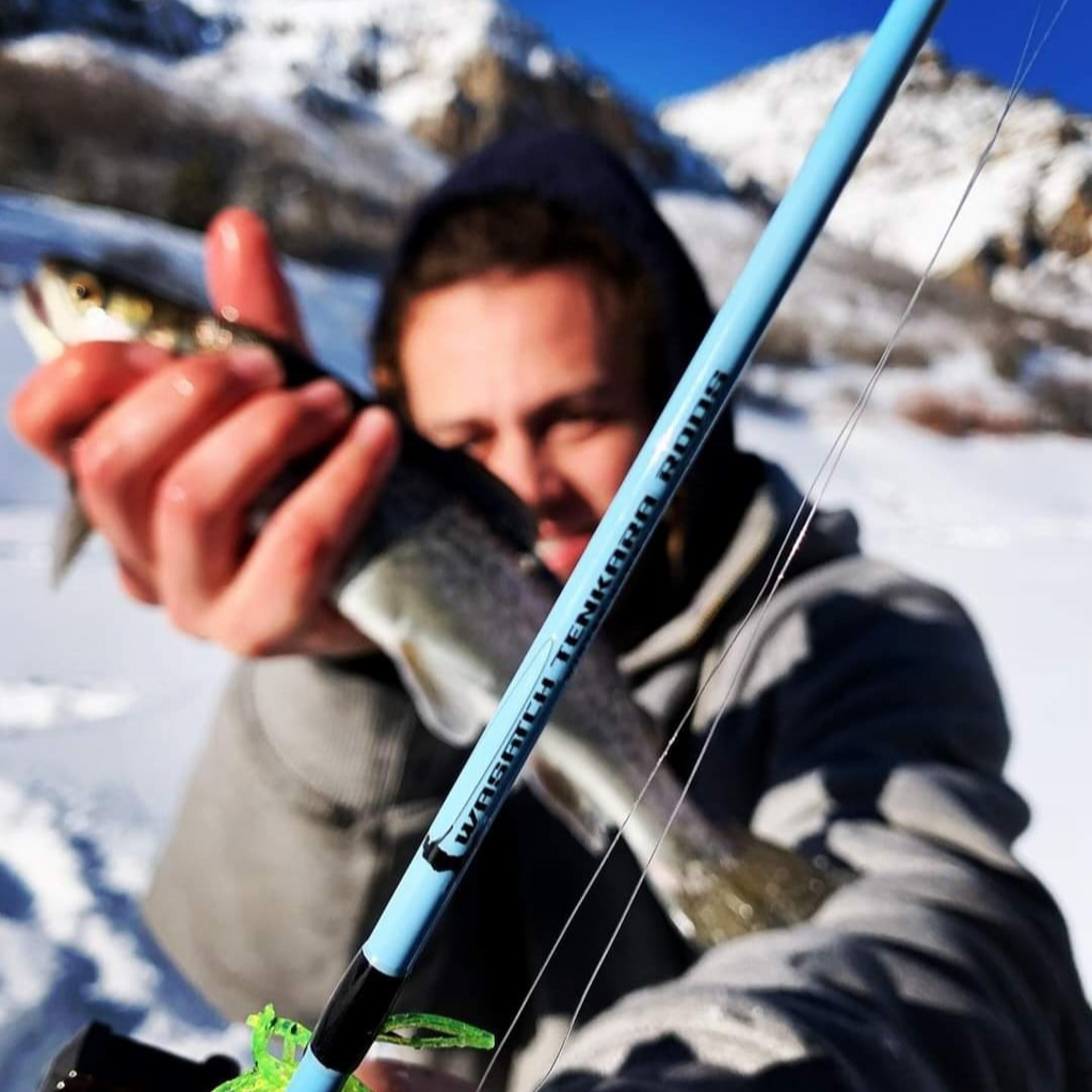 Winterhawk Fishing rod
