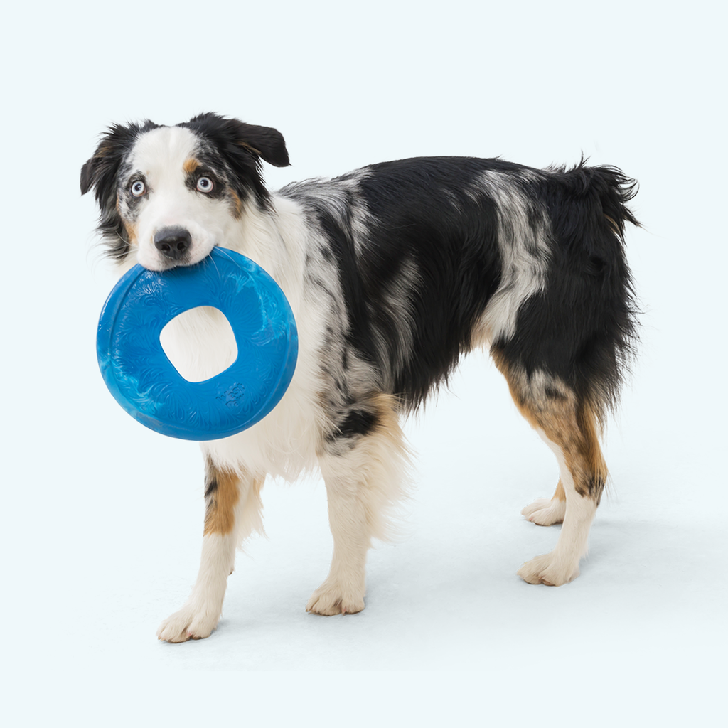 Sailz - Dog Toy