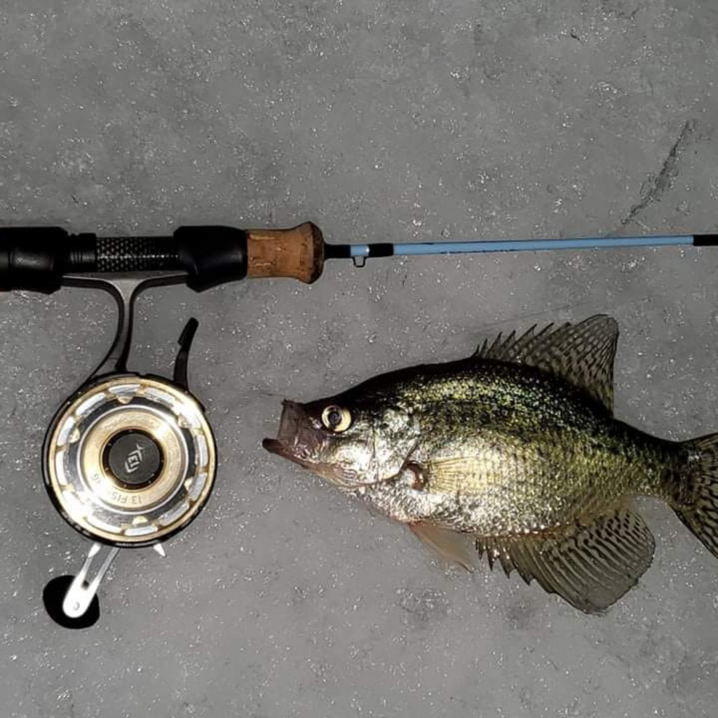 Winterhawk Fishing rod