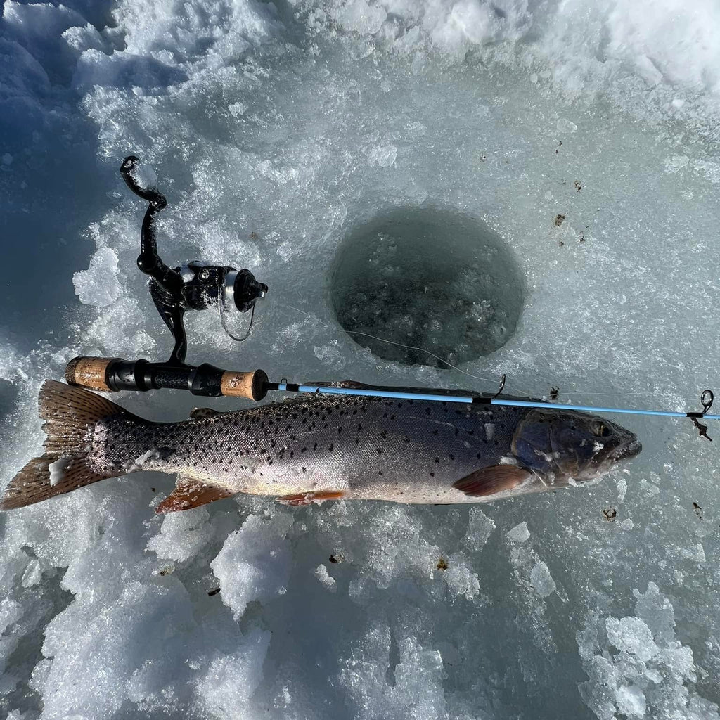 Winterhawk Fishing rod