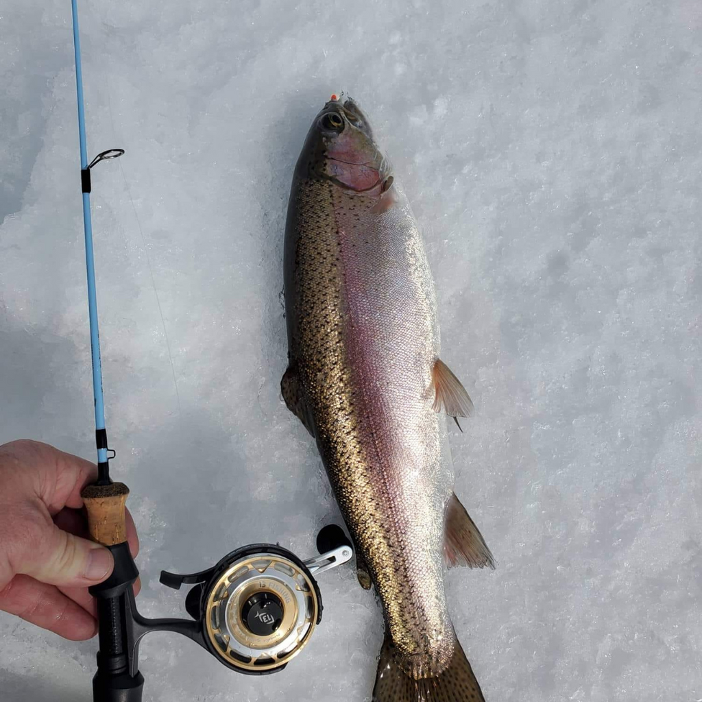 Winterhawk Fishing rod