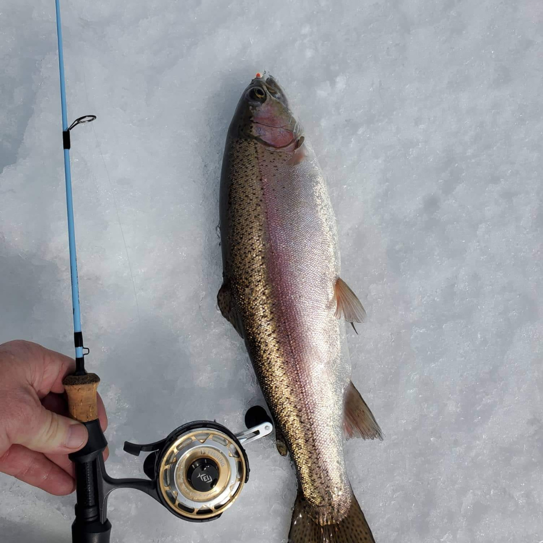 Winterhawk Fishing rod